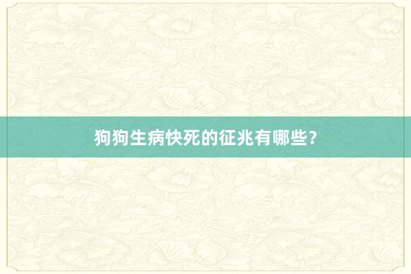 狗狗生病快死的征兆有哪些？