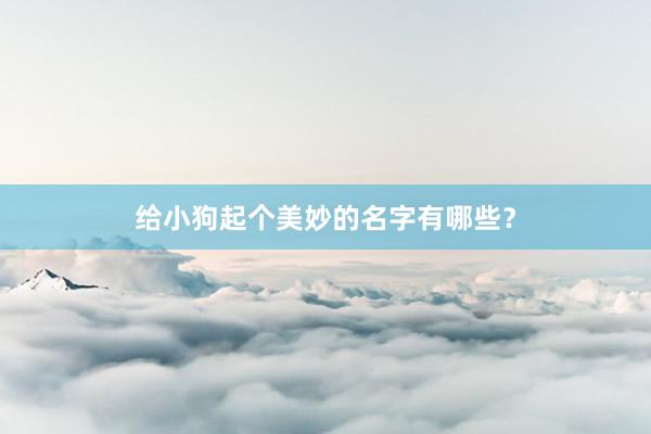 给小狗起个美妙的名字有哪些？